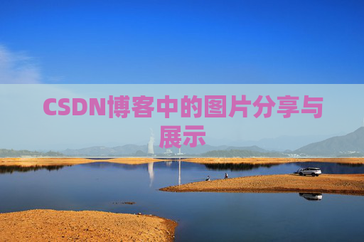 CSDN博客中的图片分享与展示